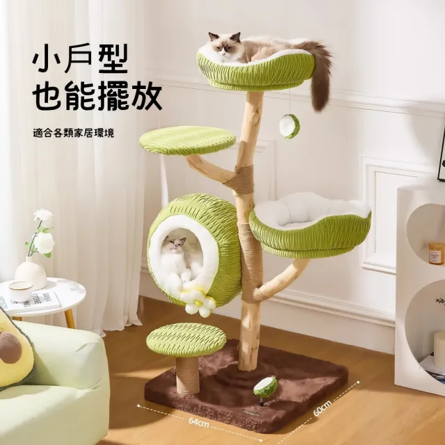【銘利萊】青椰貓爬架 家用實木貓窩 貓樹一體跳臺 小戶型寵物傢俱(不佔地貓爬架子 絨墊可拆換)
