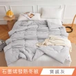 【日禾家居】石墨烯發熱保暖可水洗雙人被2.5KG 棉被 冬被(多色任選)