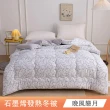 【日禾家居】石墨烯發熱保暖可水洗雙人被2.5KG 棉被 冬被(多色任選)