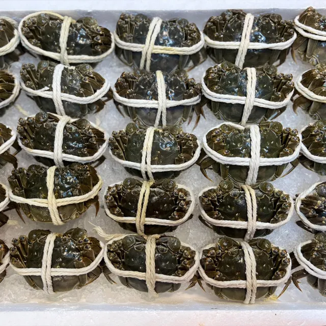 【華得水產】保證活蟹直送嚴 江蘇大閘蟹( 3隻_4-4.5兩/隻)
