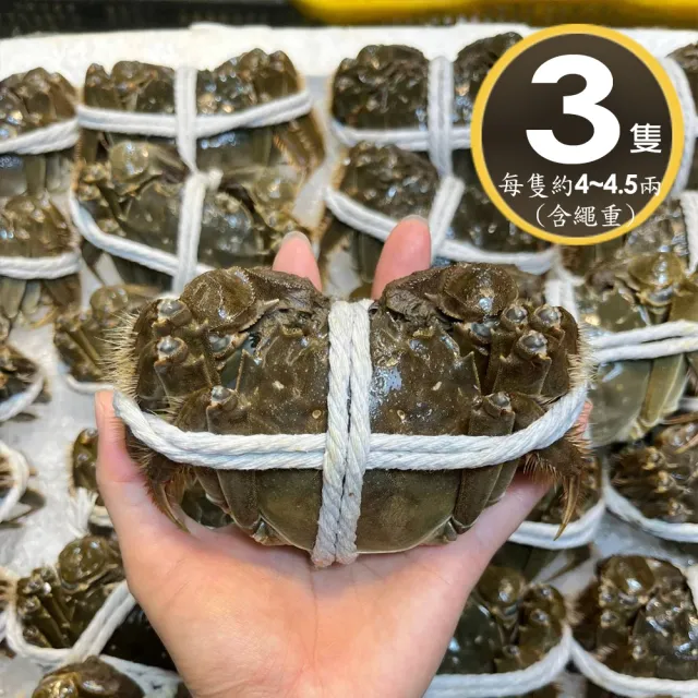 【華得水產】保證活蟹直送嚴 江蘇大閘蟹( 3隻_4-4.5兩/隻)
