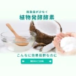 【寶媽咪】台灣製除黴慕斯2入(除過十年不長/抑菌根除/環保成分/除霉/黴問題/霉問題)