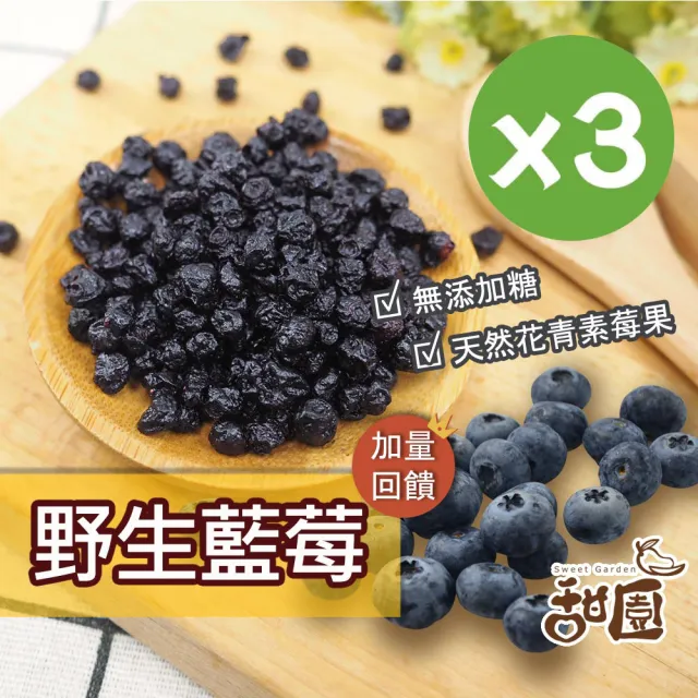 【甜園】野生藍莓 / 火龍果乾 x3包(★無添加糖★無糖果乾★無糖藍莓果乾★無糖火龍果乾)