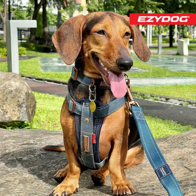 【EZYDOG】狗體工學胸背帶 丹寧 S號(送400元寵物車用束帶 寵物胸背帶 H型胸背帶 寵物用品 牽繩)