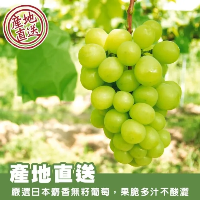 【WANG 蔬果】日本麝香無籽葡萄2房x1盒(450-500g/串 禮盒/空運直送)