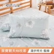 【MIT iLook】台灣製 萊賽爾天柔絲枕套2入(多款可選)