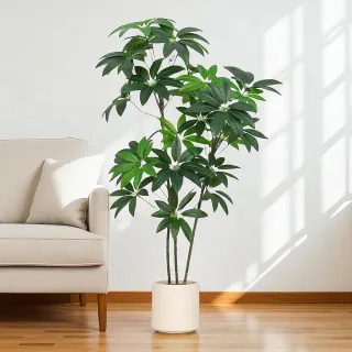 【Floral M】財源滾滾四季發財樹1.7公尺室內大型仿真植栽（贈送花盆）(永生植栽/室內佈置/仿真樹/植栽)