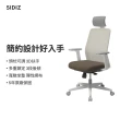 【SIDIZ】T40 SE 人體工學椅(辦公椅 電腦椅 透氣網椅)