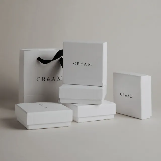 【CReAM】Cedric鈦鋼銀色扁蛇鍊中性男性男項鍊(生日 禮物 送禮 禮盒)