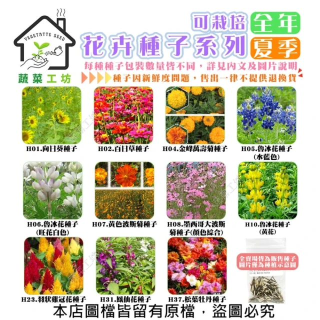 蔬菜工坊