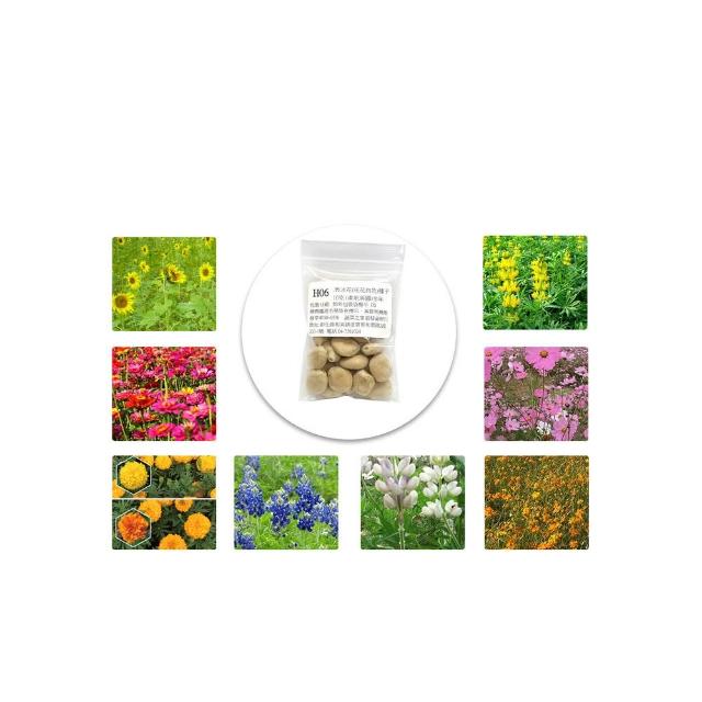 【蔬菜工坊】冬季可栽培花卉種子系列-各包裝數量詳見內文及圖片(魯冰花 波斯菊 蜀葵 金盞花)