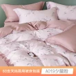 【貝兒居家寢飾生活館】60支100%蘭精萊賽爾天絲兩用被床包4件組(雙人/加大/均一價)