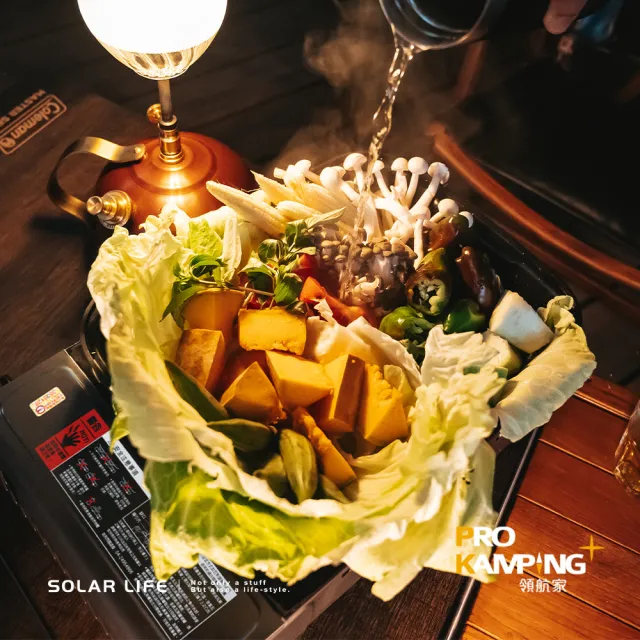【Pro Kamping 領航家】兩用瓦斯煎烤爐 含提袋 瓦斯卡式爐 MS-8 MINI(露營瓦斯爐 火鍋燒烤爐 戶外烤肉爐)