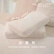【zZSLEEPER】忘憂枕 升級頂級萊賽爾枕套(人體工學枕 記憶枕 釋壓睡眠枕)