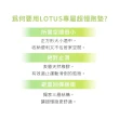 【LOTUS】台灣製避震緩衝超慢跑墊1.2公分 運動2件組(緩衝降噪超慢跑墊1入+專屬提袋1入)