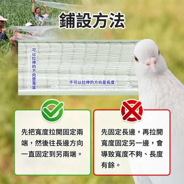 【工具職人】40米長 防鳥網 畫眉網 鳥網 果園防鳥網 果樹網 630-PB223MX40M(防鳥罩 果樹網 大棚防鳥網)