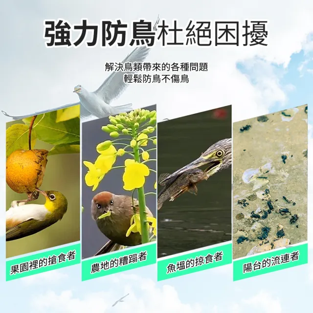 【工具職人】40米長 防鳥網 畫眉網 鳥網 果園防鳥網 果樹網 630-PB223MX40M(防鳥罩 果樹網 大棚防鳥網)