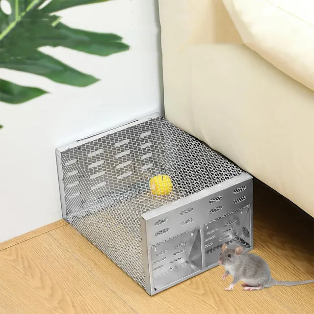 【2026】捕鼠器推薦ptt》10款高評價人氣品牌排行榜 | 好吃美食的八里人