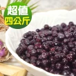 【幸美生技】加拿大進口鮮凍野生藍莓1kg x4包組合(無農藥殘留 重金屬 檢驗合格)