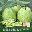 【初品果】產地直送雙色蜜芭樂禮盒5斤x4盒(黃金蜜+紅心芭樂/國民水果/產地直送/禮盒)