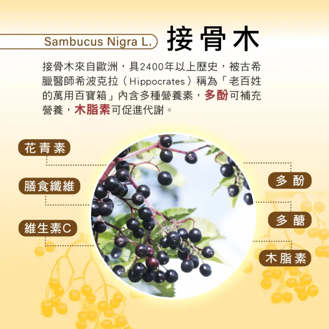【順天本草】接骨木膠囊 60顆/盒(靈活關鍵 素食可用)