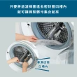 【COGIT】滾筒洗衣機清潔濾網 3入/包(溝槽過濾棉)