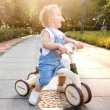 【Hape】4合1多功能三輪車(學步車/滑步車/木製玩具/木頭玩具/生日禮)