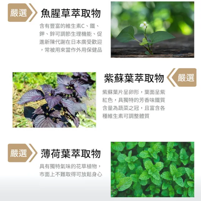 【SPOTLESS 植靠淨】淨冠寶膠囊2入組(共40粒/魚腥草配方/紫蘇葉/薄荷葉)