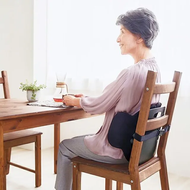 【台隆手創館】COGIT BODY KARTE輕鬆支撐腰靠墊/靠腰墊(CARFITY輕鬆支撐腰靠墊)