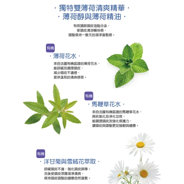 【古寶無患子】4入任選 沁涼馬鞭草薄荷 洗髮/沐浴SPA 系列450g(清爽薄荷/涼感沐浴/涼感洗髮)
