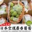 【WANG 蔬果】日本長野/山梨縣溫室麝香葡萄10串x1箱(350g/串_原裝箱)