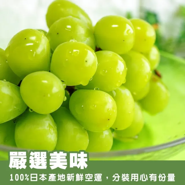 【WANG 蔬果】日本長野/山梨縣溫室麝香葡萄1房禮盒x1盒(350-400g/串)