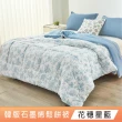 【DeKo岱珂】買一送一 韓版可水洗石墨烯四季被 2KG(十色任選 180×210cm)