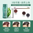 【Sastty】利尻昆布白髮用修復染髮劑200gx2入(3色任選/植萃遮白/染護2合1)