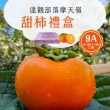 【初品果】摩天嶺達觀部落9A甜柿特大顆12顆禮盒x1箱(350g/顆 中秋禮盒_產地直送)
