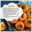 【初品果】摩天嶺達觀部落9A甜柿特大顆12顆禮盒x1箱(350g/顆 中秋禮盒_產地直送)
