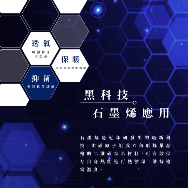 【金安德森】德國石墨烯抗菌水洗被-雙人(金安德森寢具 狐狸寢具 SCION寢具)