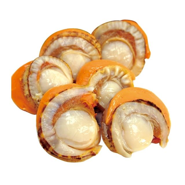 【優鮮配】特大2L北海道生食級特大-熟-含卵帆立貝2包(800G/包)