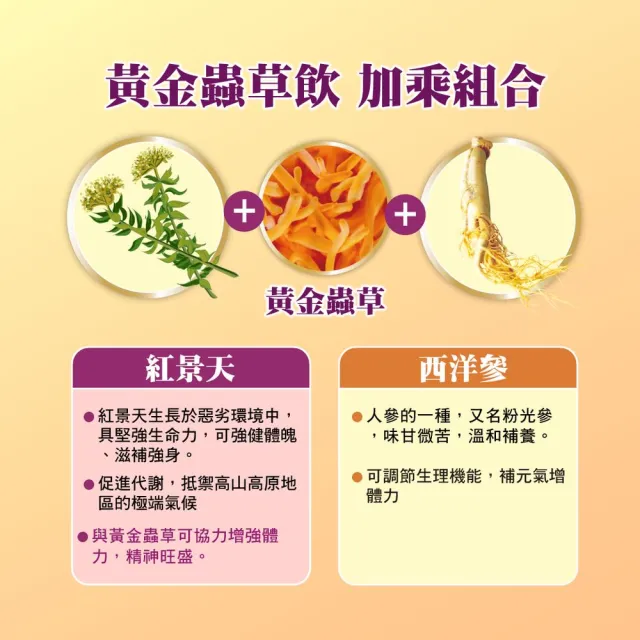 【順天本草】黃金蟲草飲6入/盒X3(紅景天、蛹蟲草子實體、粉光參)