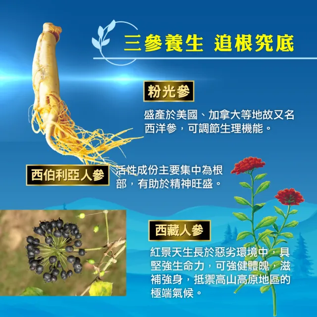 【順天本草】EP蔘力飲 禮盒 30mlx15入/盒(粉光參、紅景天、刺五加、綜合維他命B群)
