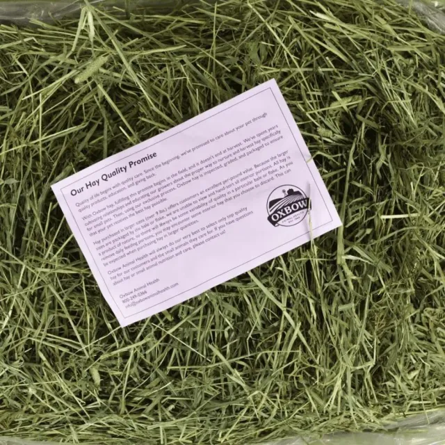 【OXBOW】提摩西草 & 果園草 2 in 1 雙重口感牧草 15oz(提摩西牧草、果園草、牧草、兔兔、天竺鼠、龍貓)