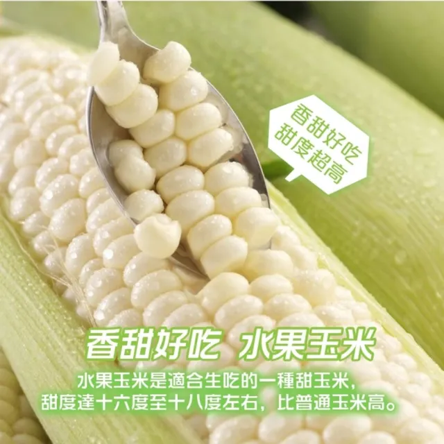 【WANG 蔬果】日本品種水果玉米5斤x1箱(農民直配)
