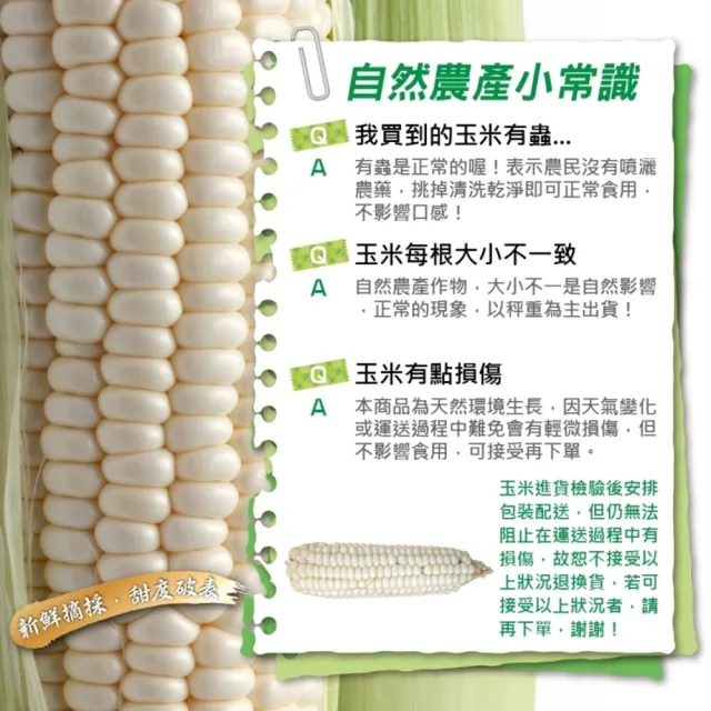 【WANG 蔬果】日本品種水果玉米10斤x1箱(農民直配)