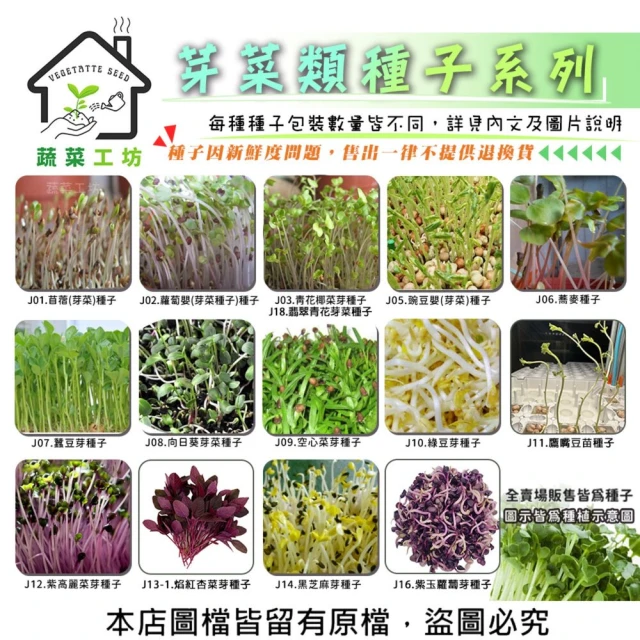 蔬菜工坊