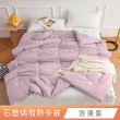 【日禾家居】買一送一 石墨烯保暖水洗被2.5KG 棉被 冬被(雙人180X210cm 多色選)