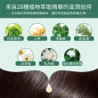 買1送1【Sastty】利尻昆布白髮用修復染髮劑200g(3色任選/植萃遮白/染護2合1)