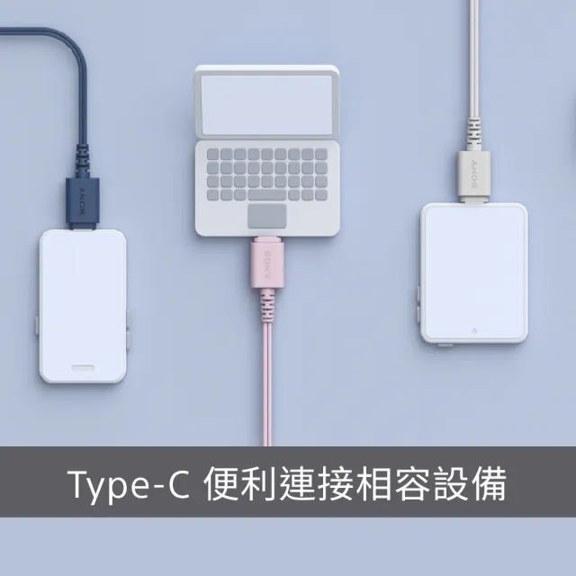 【SONY 索尼】Type-C 有線入耳式耳機 IER-EX15C(公司貨 保固12個月)