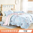 【日禾家居】買一送一 萊賽爾天絲涼感涼被(150X200cm 多款挑) 涼被/冷氣毯