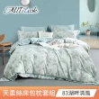 【MIT iLook】超值2入 台灣製優質萊賽爾天柔絲床包枕套組(雙人-多款花色可選)