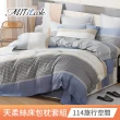【MIT iLook】超值2入 台灣製優質萊賽爾天柔絲床包枕套組(雙人-多款花色可選)